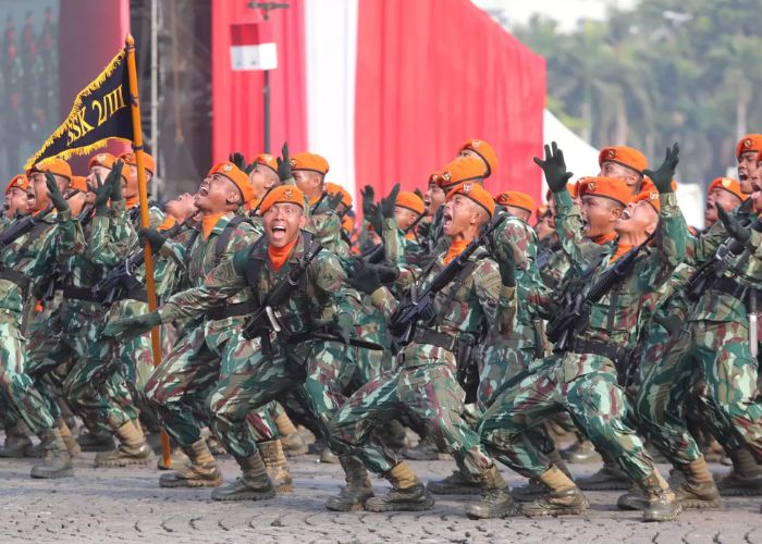 Ilustrasi TNI