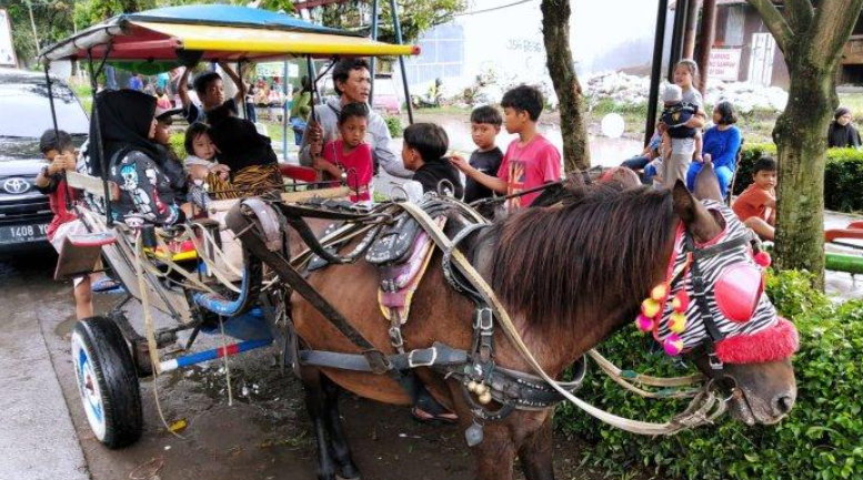 Foto ilustrasi delman yang memperlihatkan sejumlah anak ditemani orang tuanya naik delman di Taman Kompleks Jati Permai, Jalan Inhoftank, Kota Bandung, Jawa Barat, Senin (27/3/2023).