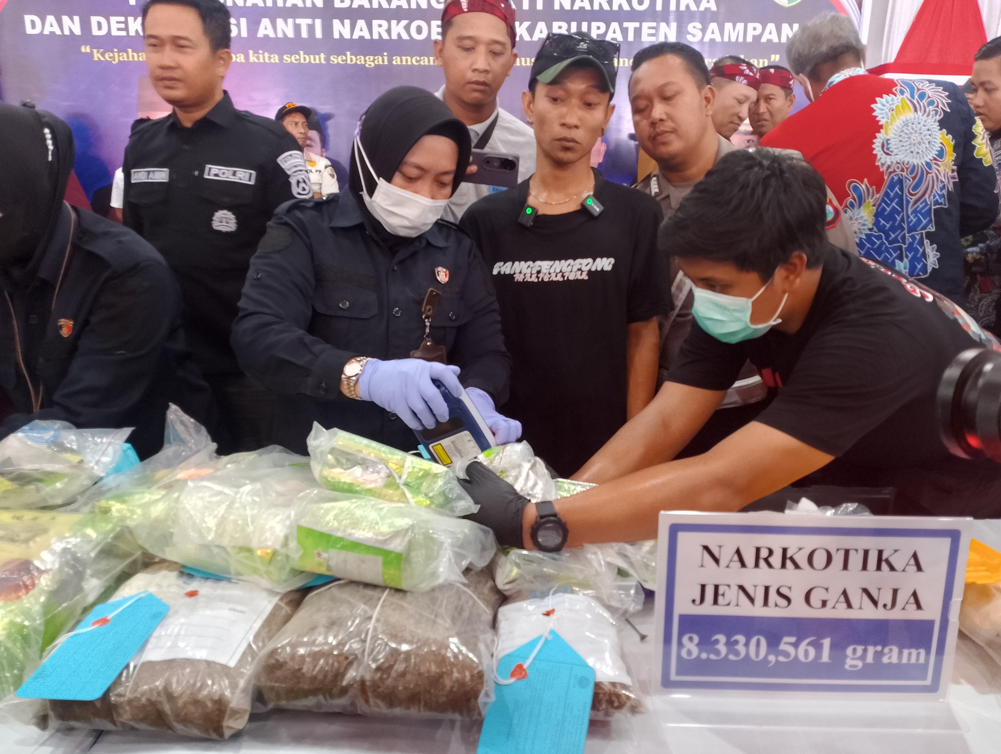 DILARANG: Tim Forensik Polda Jatim mengecek keaslian barang bukti ganja sebelum dimusnahkan di Pendopo Trunojoyo, Sampang, kemarin. (UBAIDILLAHIR RA&rsquo;IE/JPRM )