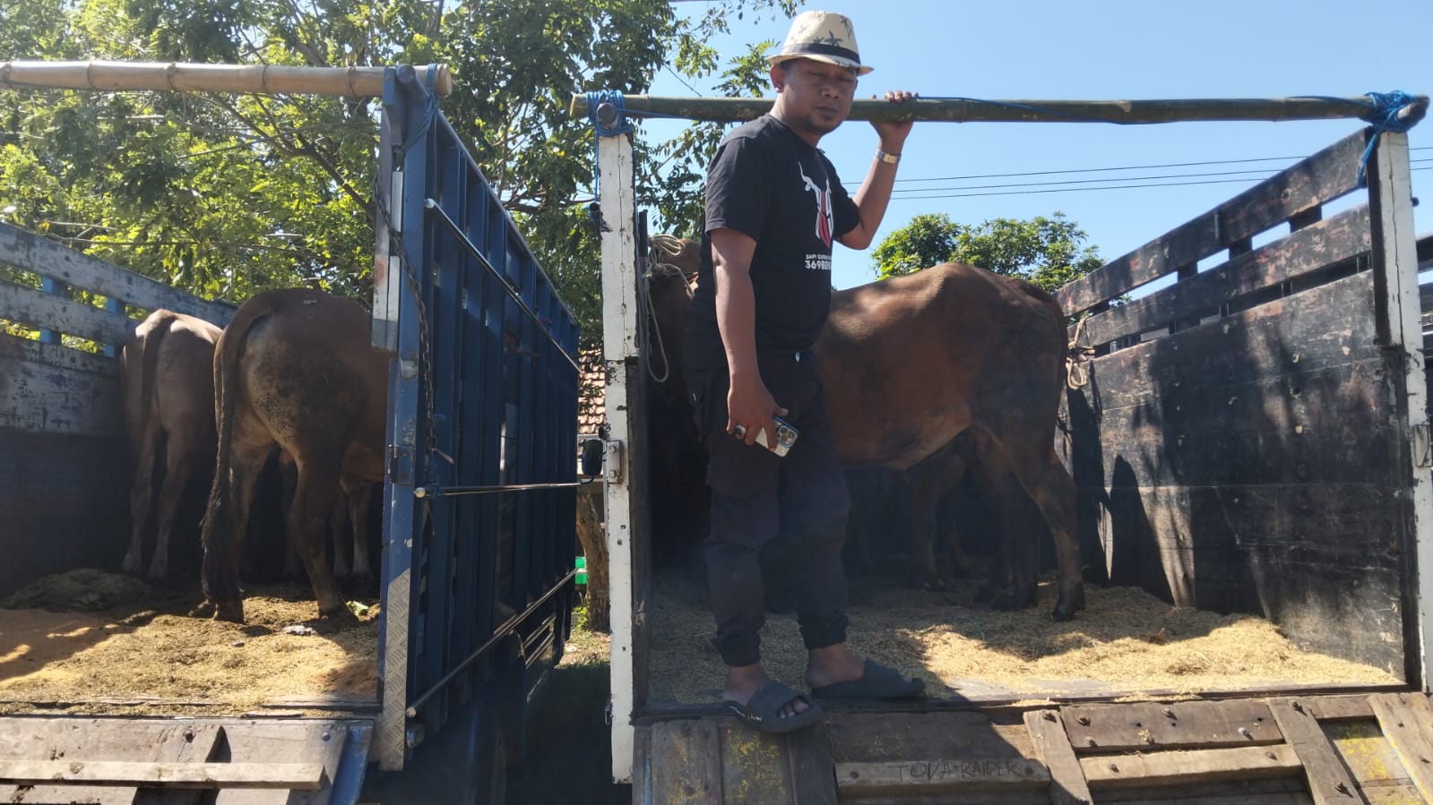 Abdillah seorang dosen yang sudah menyandang status doktor juga nyambi beternak dan berdagang sapi