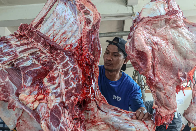 Pekerja memotong daging kurban sapi di UPT Rumah Potong Hewan (RPH) Bayur, Kota Tangerang, Banten, Jumat (6/6/2025).