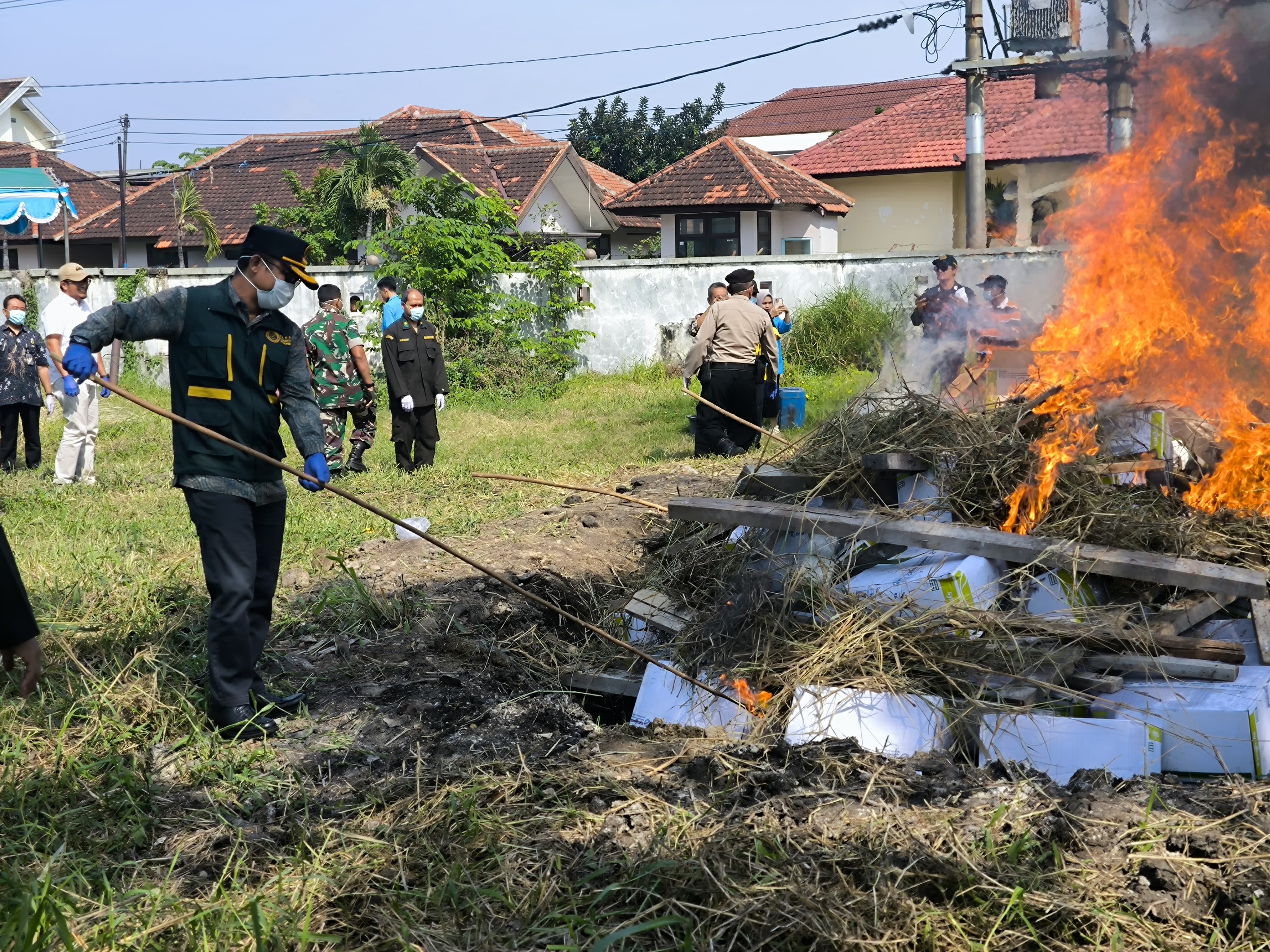 Balai Karantina Hewan, Ikan, dan Tumbuhan Jawa Timur memusnahkan 4,4 ton benih jagung manis asal Thailand karena terinfeksi bakteri berbahaya Pantoea stewartii subsp. stewartii