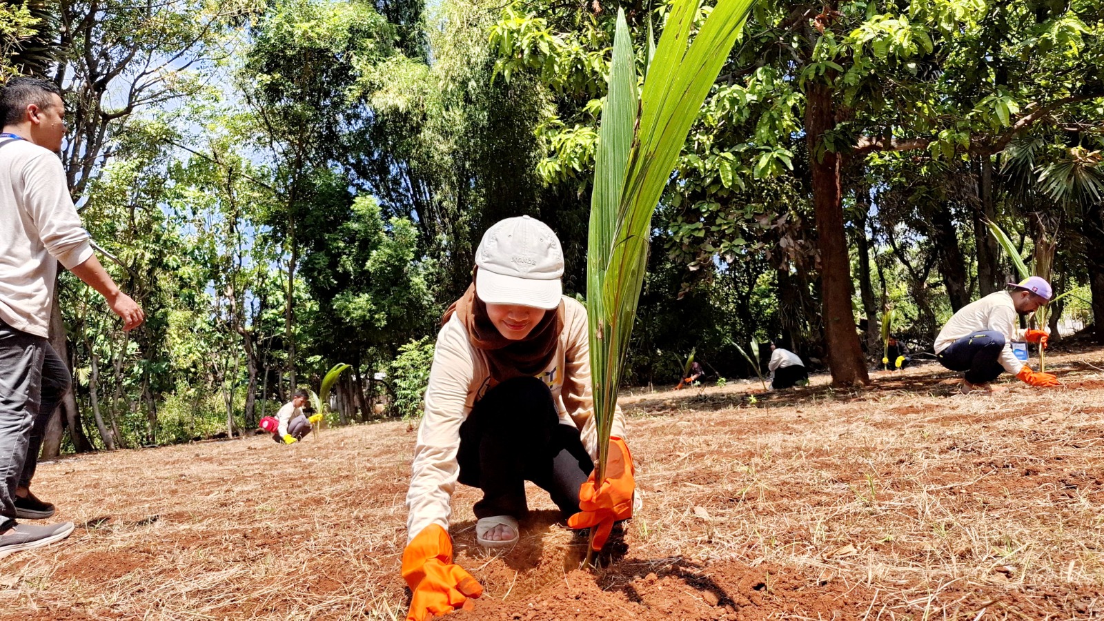 TURUN LANGSUNG: Peserta Segta 2025 FTMM UNair Surabaya sedang melakukan kegiatan penanaman pohon di Desa Banraas, Kecamatan Dungkek Pulau Gili Iyang, Minggu (10/8).&nbsp;