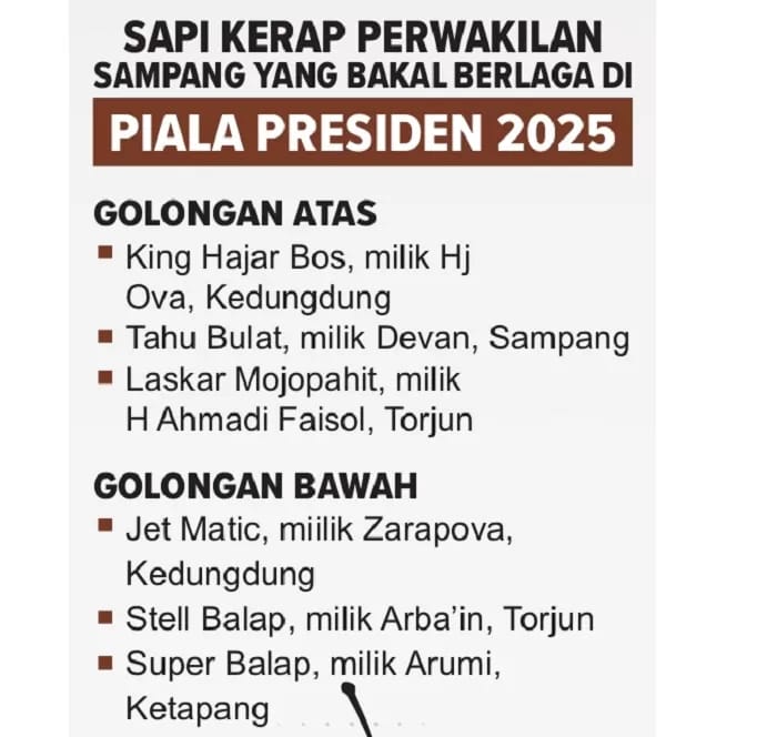 Sapi karapan perwakilan Sampang yang bakal berlaga di Piala Presiden 2025.