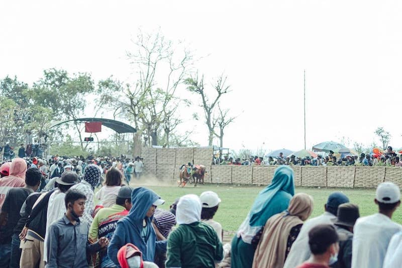 Ribuan penonton antusias melihat grand final Karapan Sapi Piala Presiden 2025. Ig @madurahiloc