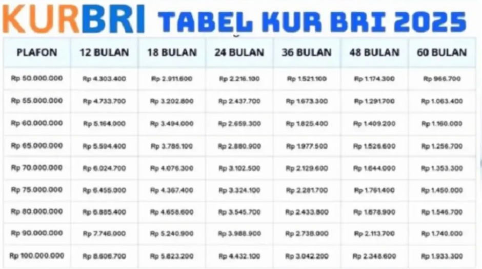 Pinjaman Modal Usaha Rp100 Juta dengan Cicilan Terjangkau!