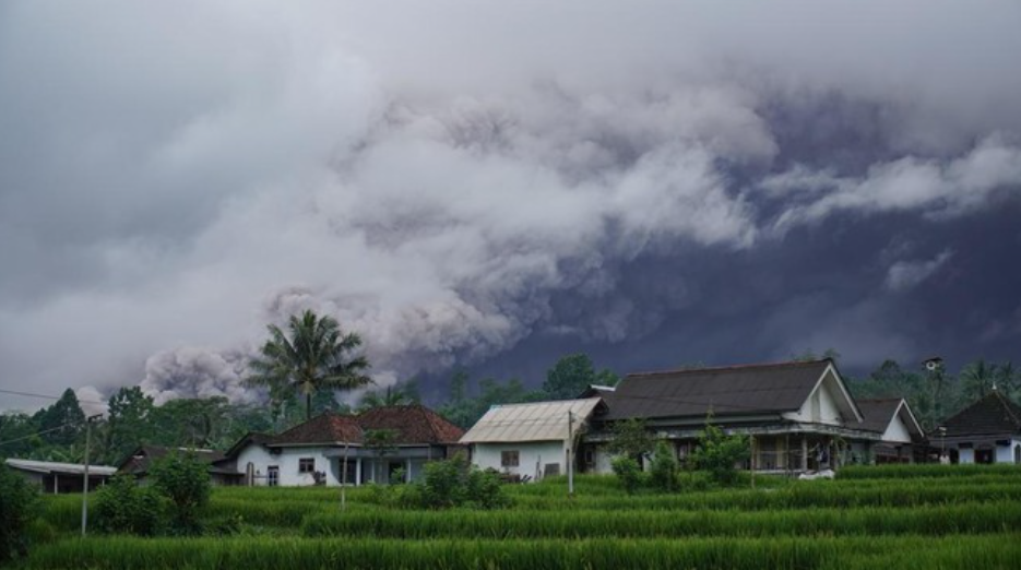Gunung Semeru di Jawa Timur erupsi pada Rabu, 19 November. (ANTARA FOTO/lrfan Sumanjaya)
