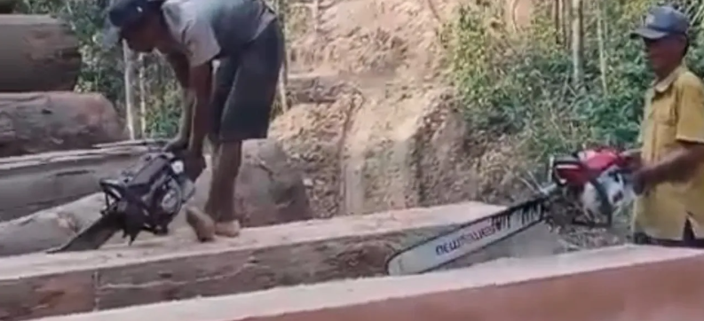 Viral! Rekaman Ilegal Logging di Lampung Bikin Warga Ketakutan (&copy;Yosephin Suci Wulandari)