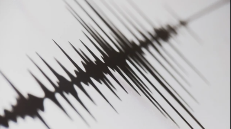 Ilustrasi gempa bumi. Foto: MuhsinRina/shutterstock