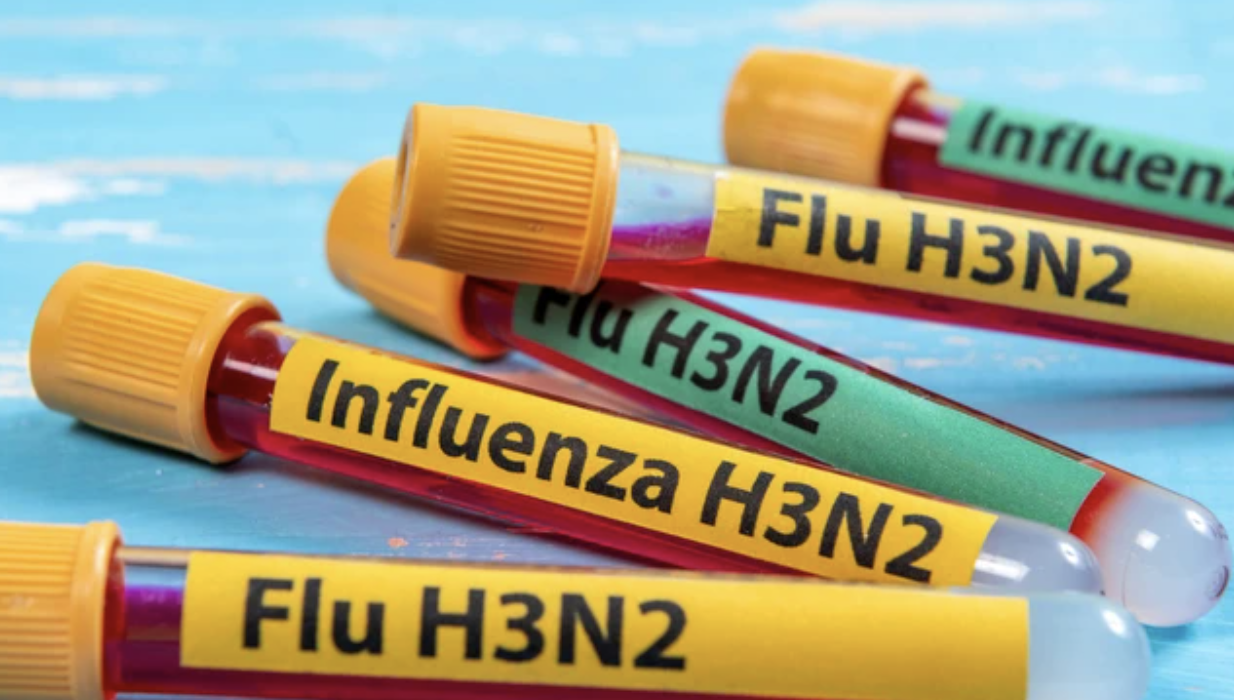 Ilustrasi foto dari virus H3N2. Foto: Celso Pupo/Shutterstock