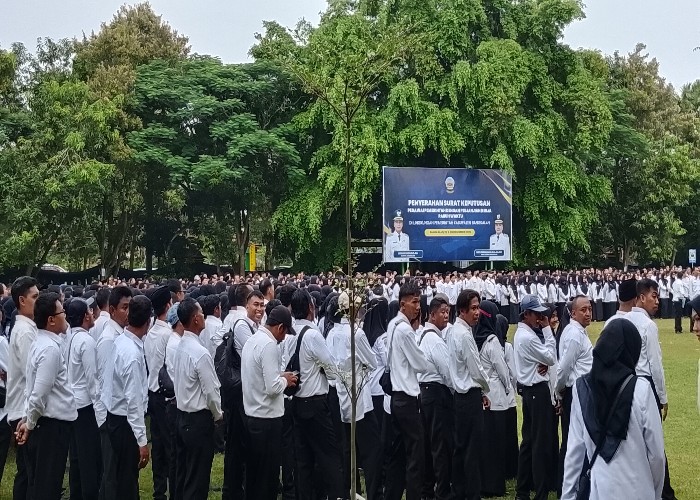 PPPK Merasa Gaji Stagnan, Ini Hak yang Sering Terlewat