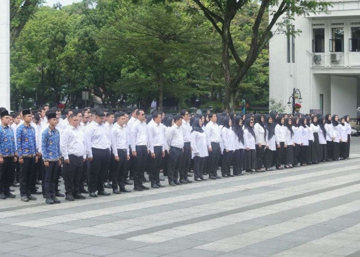 PPPK Paruh Waktu.