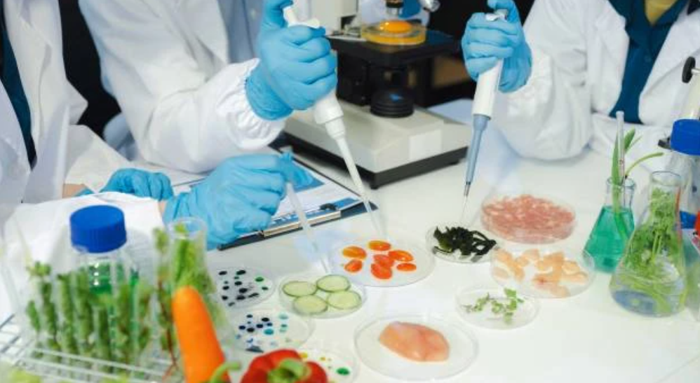 Foto iluatrasi BPOM, badan pengawas obat dan makanan, lab makanan, uji lab makanan (Sumber: Envato)