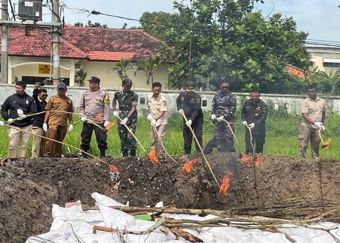 Dibakar: puluhan jenis barang Komuditas pertanian ilegal dimusnahkan oleh balai Karantina Jatim.