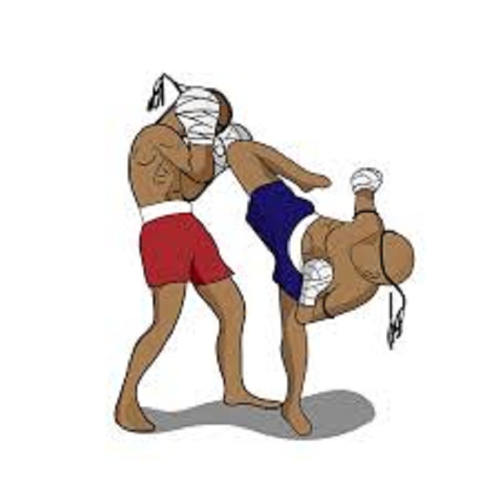 Ilustrasi kickboxing