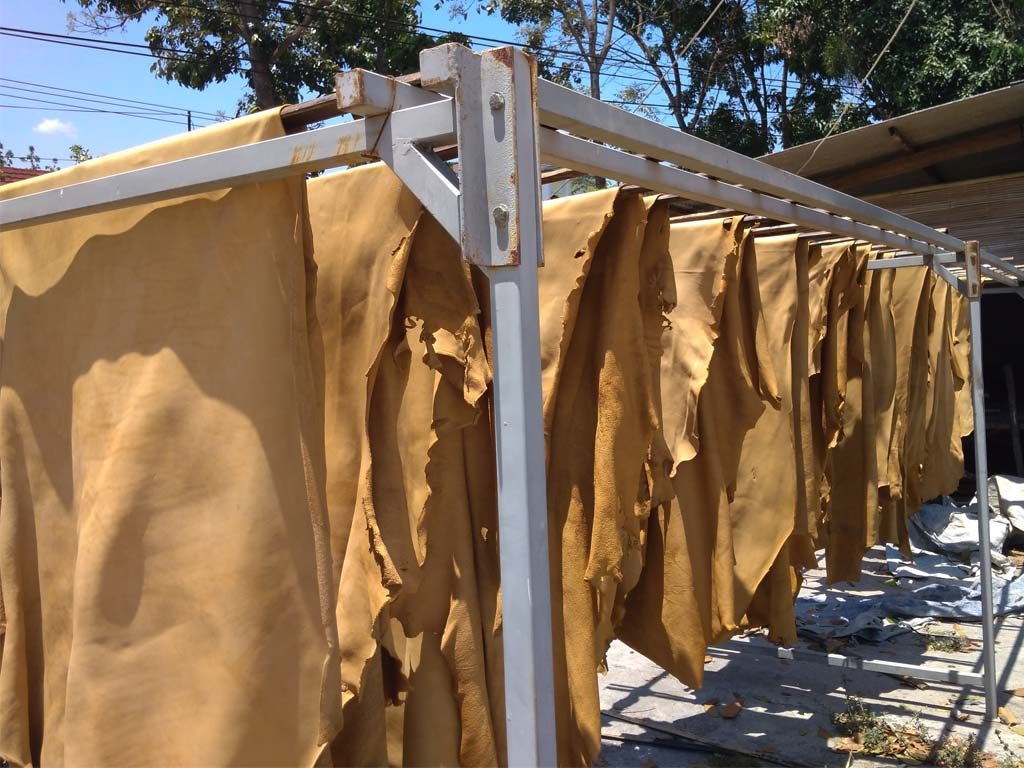 Kulit sapi. Sumber foto: Tala Leather