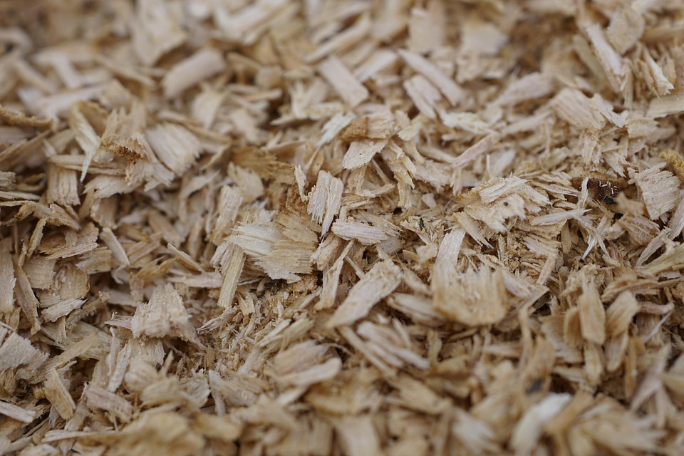 Serbuk kayu. Sumber foto: Pixabay