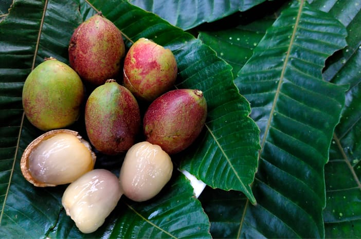 Buah matoa. Sumber Foto: Halodoc