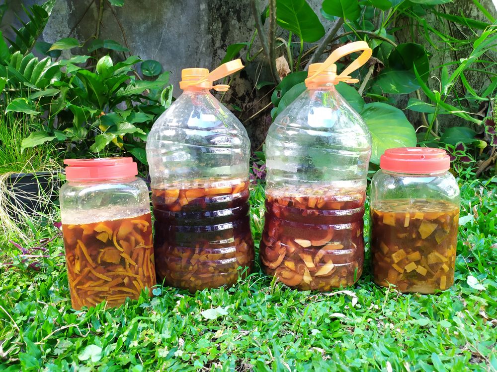 Eco-enzyme. Sumber foto: Hallo Sehat