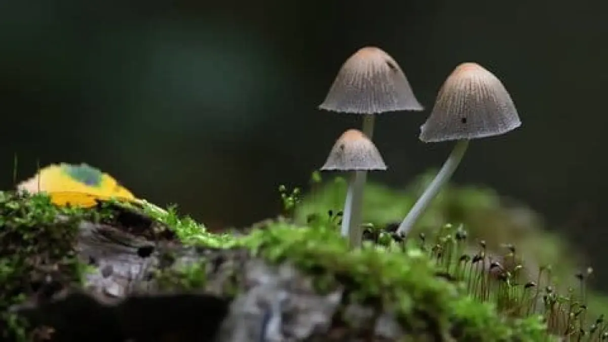 Sumber Foto: Shutterstock