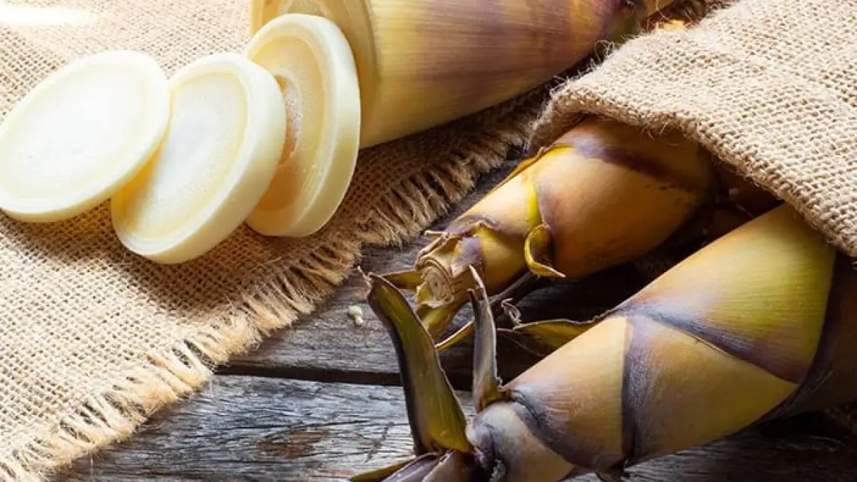 Sumber Foto: Halodoc