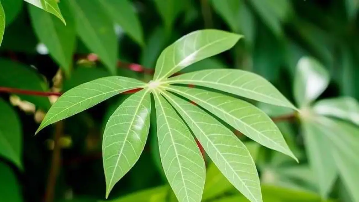 Sumber Foto: Alodokter