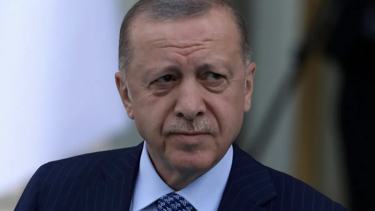 Presiden Turki, Erdogan (SinPo.id/AP)