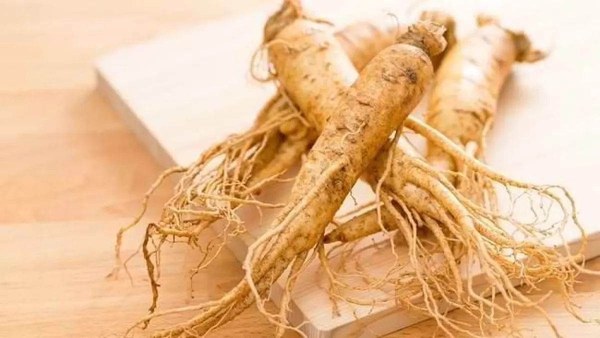 Sumber Foto: Alodokter