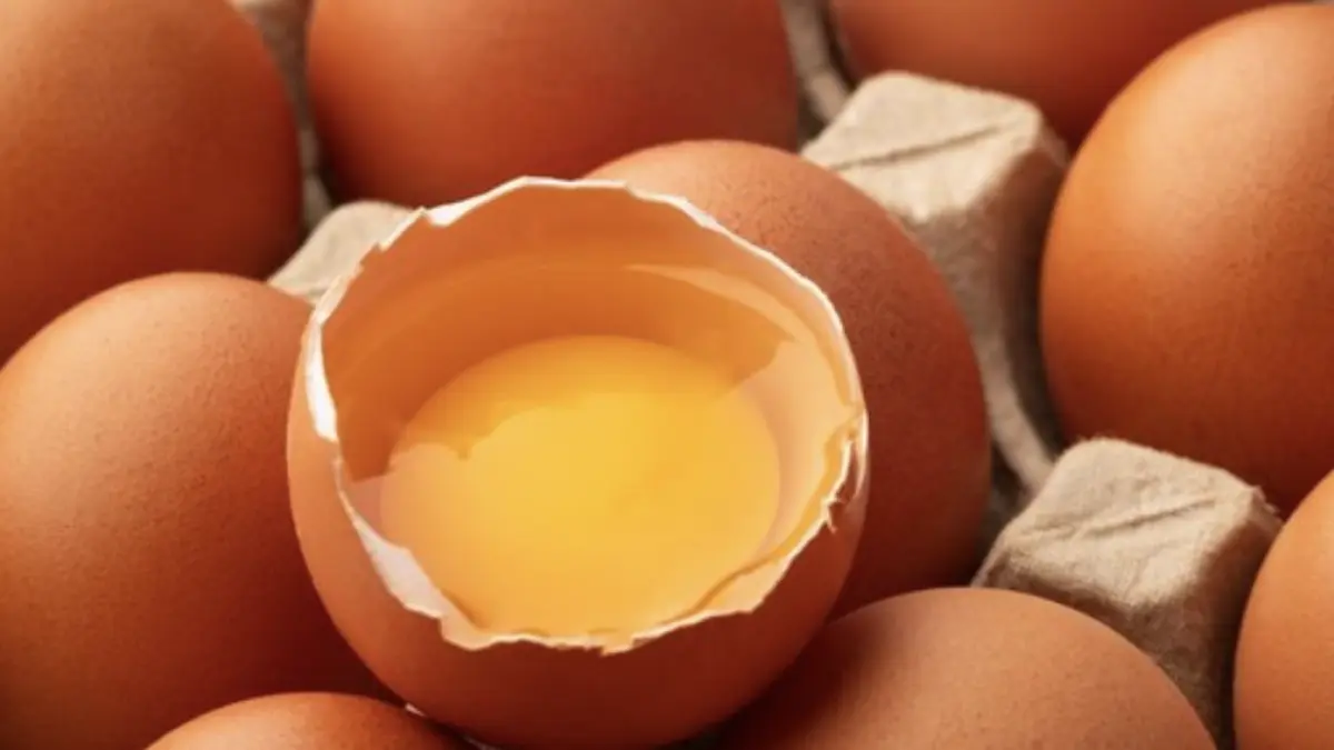 Telur omega 3, benarkah lebih kaya nutrisi? Foto: Getty Images/Kritchai Chaibangyang
