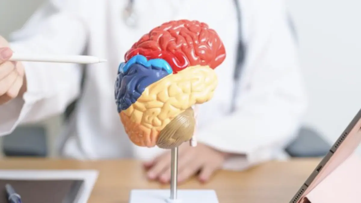 Foto: Ilustrasi tumor otak (Getty Images/Panuwat Dangsungnoen)