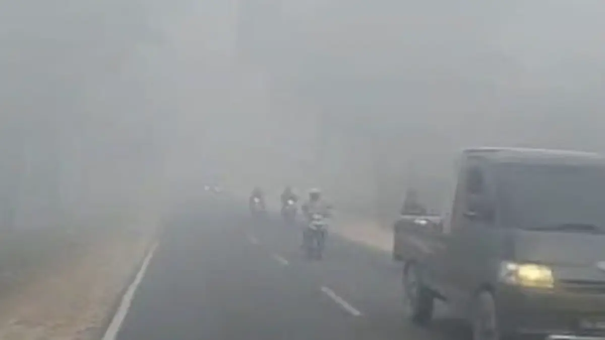 Foto: Foto Asap pekat di Pangkalan Bun Kotawaringin Barat, Rabu (19/8/2026) pagi. (Sigit Pamungkas/detikKalimantan)