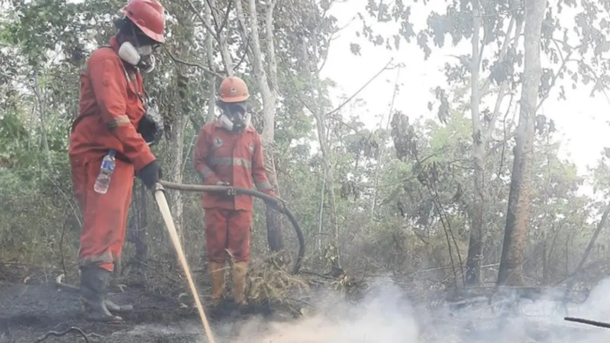 Petugas memadamkan api karhutla (Foto: Dok. Kementerian Kehutanan)