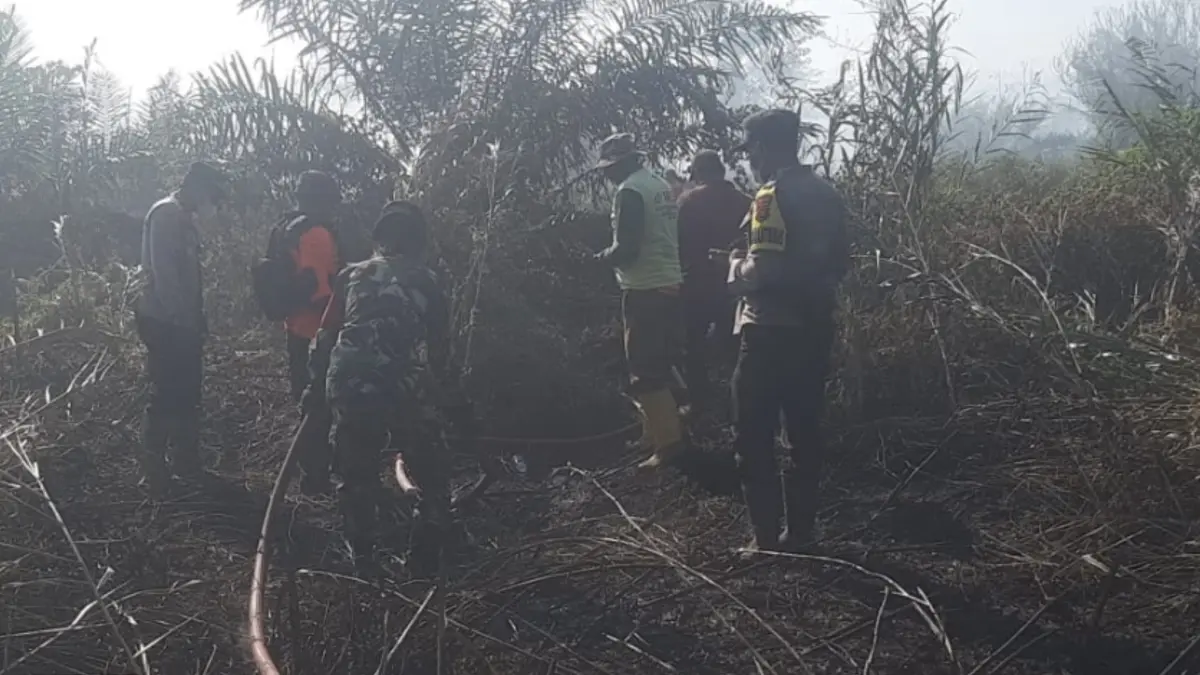 Kebakaran Lahan di Tinondo Kolaka Timur, Petugas Gunakan Mesin Alkon untuk Padamkan Api