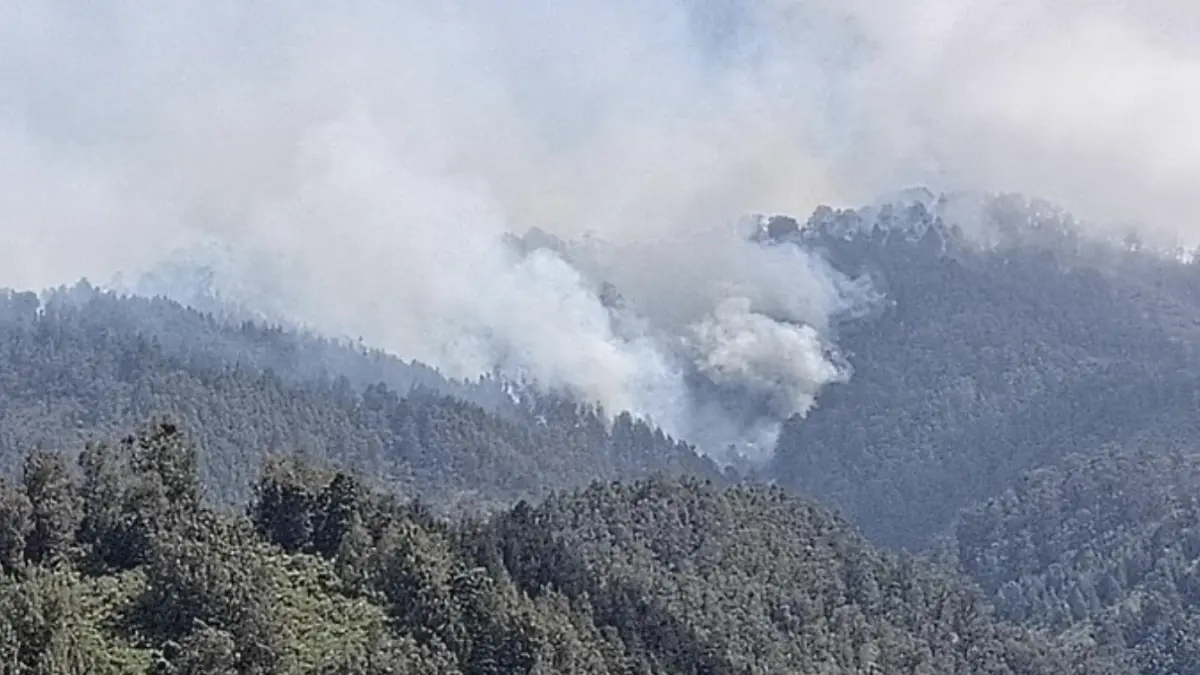 Penampakan kepulan asap masih terlihat di kawasan TNBTS (Foto: Nur Hadi Wicaksono/detik)