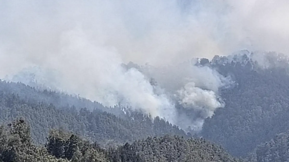 Penampakan kepulan asap masih terlihat di kawasan TNBTS (Foto file: Nur Hadi Wicaksono/detik)