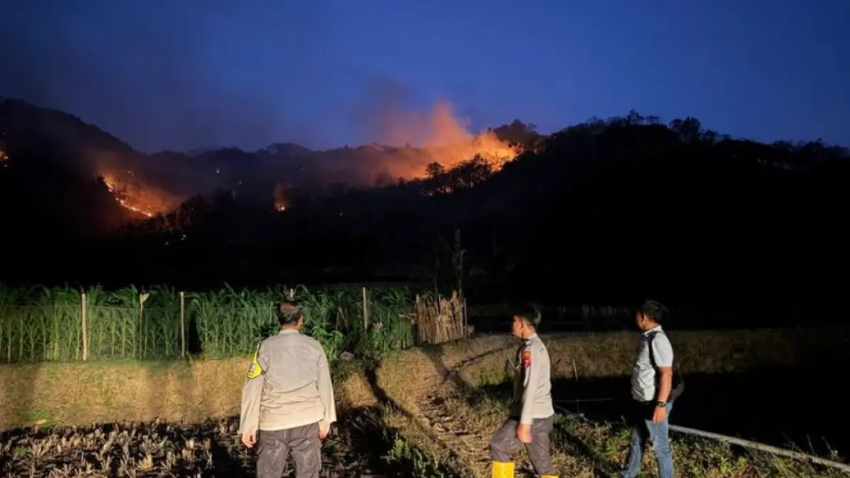 Petugas menangani kebakaran hutan dan lahan (karhutla) di Kabupaten Ponorogo. Sepanjang
Juli-Agustus 2026, tercatat 54 kejadian karhutla di 13 kecamatan. (Foto: Istimewa)