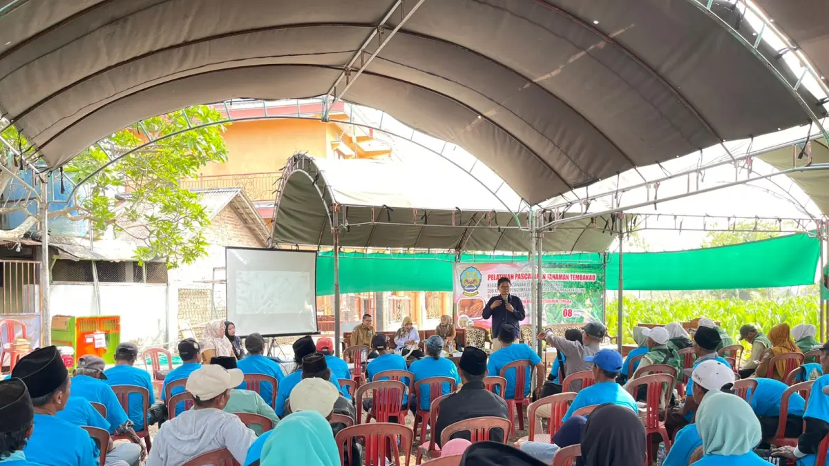 ANTUSIAS: DP2KP Bangkalan melakukan pelatihan pasca panen tembakau di Desa Neroh, Kecamatan Modung, Bangkalan pada Selasa (8/9).