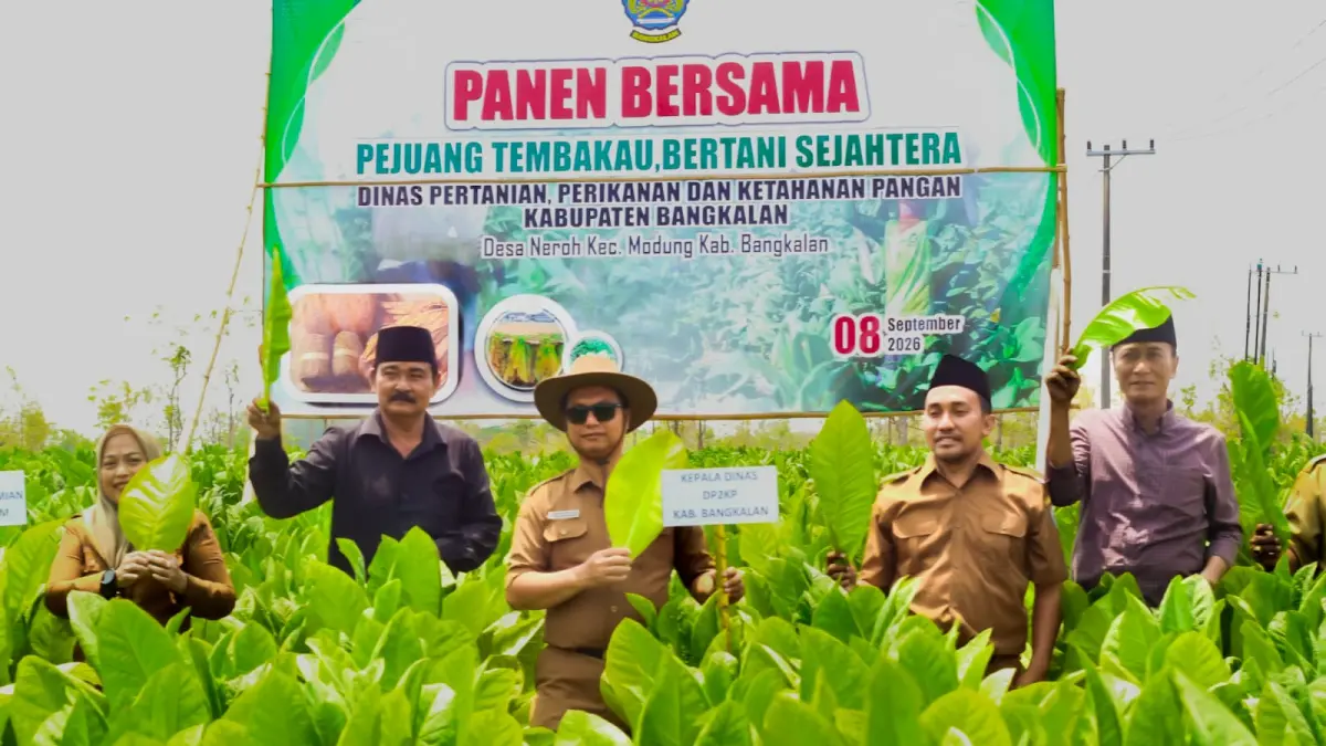 SUKSES: DP2KP Bangkalan bersama perwakilan petani panen raya tembakau di Desa Neroh, Kecamatan Modung, Selasa (8/9).
