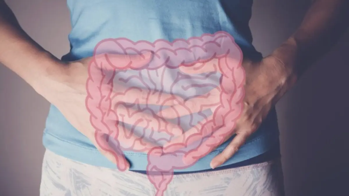 Foto: Ilustrasi usus (Getty Images/iStockphoto/Sewcream)