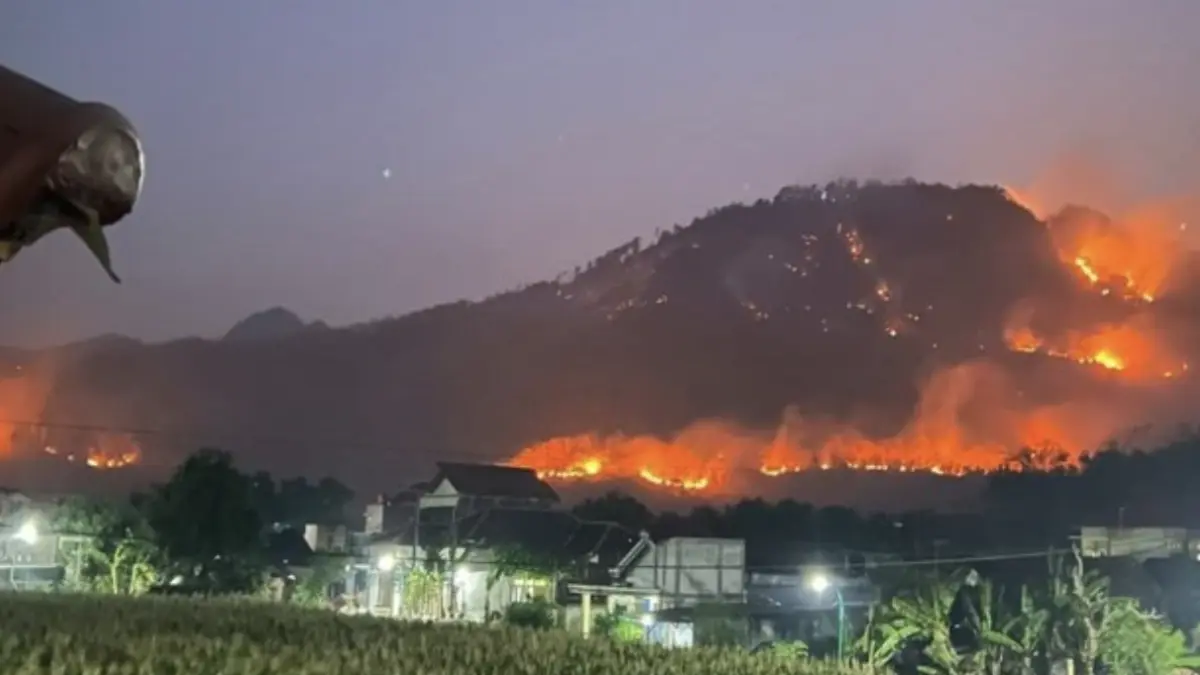 Kebakaran hutan dan lahan di Gunung Prongos, Ponorogo. (Foto: Charolin Pebrianti/detik)