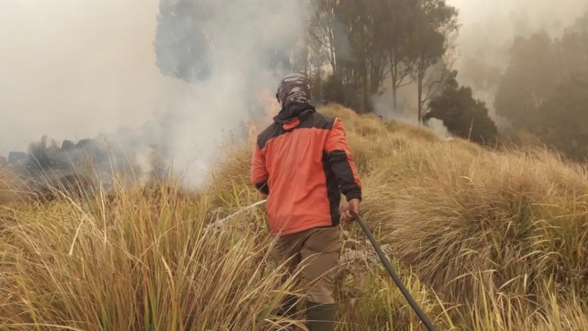 Kebakaran Sabana di Blok Pengol Bromo belum padam. Sejumlah kendala dihadapi tim gabungan. (Foto: M Rofiq/detik)