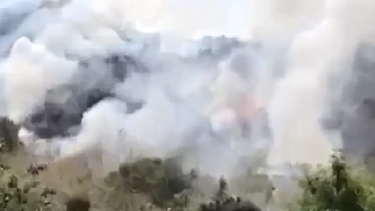 Lereng perbukitan di wilayah Pasir, Desa Junjung, Kecamatan Kalidawir, Tulungagung mengalami kebakaran. (Foto:
Istimewa)
