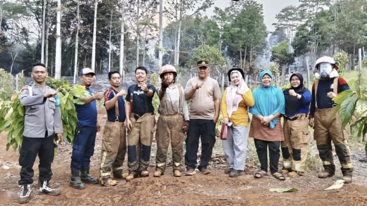 Api Nyaris Merambat ke Lahan Warga, Kebakaran di Towuti Berhasil Dipadamkan