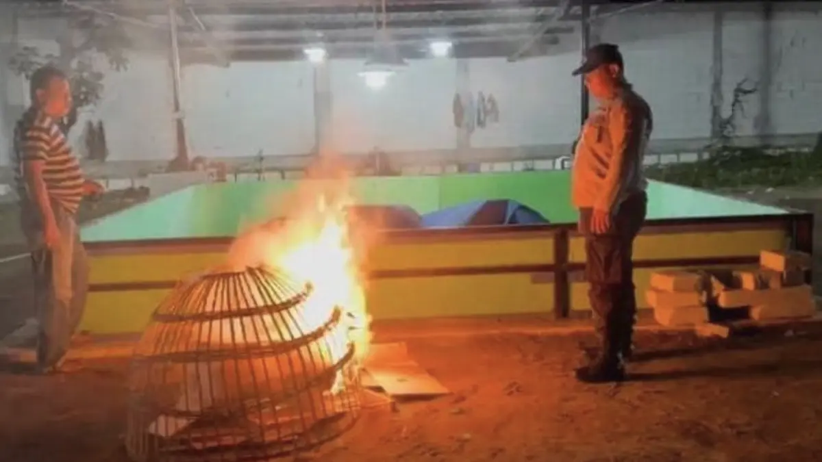 Arena judi sabung ayam di Sidoarjo dibakar/Foto: Istimewa