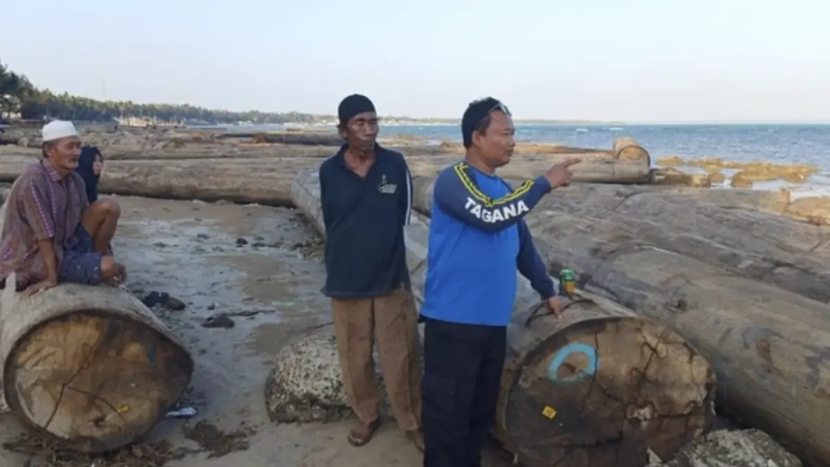 Kayu-kayu yang terdampar di pesisir pantai Sumenep (Foto: Ahmad Rahman/detik)
