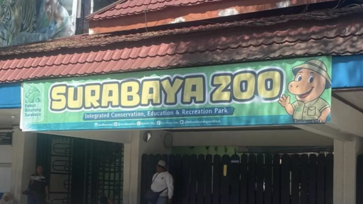 Kebun Binatang Surabaya (KBS), salah satu BUMD Pemkot Surabaya/Foto: Esti Widiyana/detik