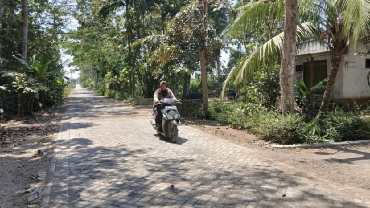 Jalan Dusun Ringinagung, Desa Pesanggaran, Kecamatan Pesanggaran, Banyuwangi (Foto: Dok. Istimewa)