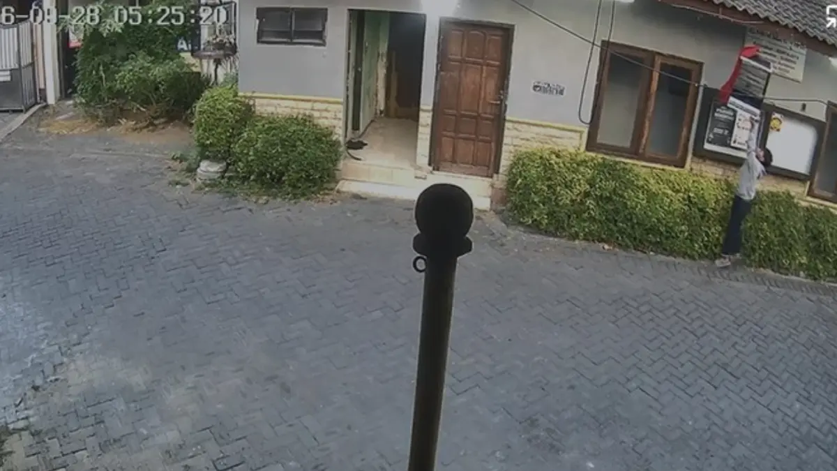 Burung cucak hijau dicuri di Surabaya (Foto: Istimewa)