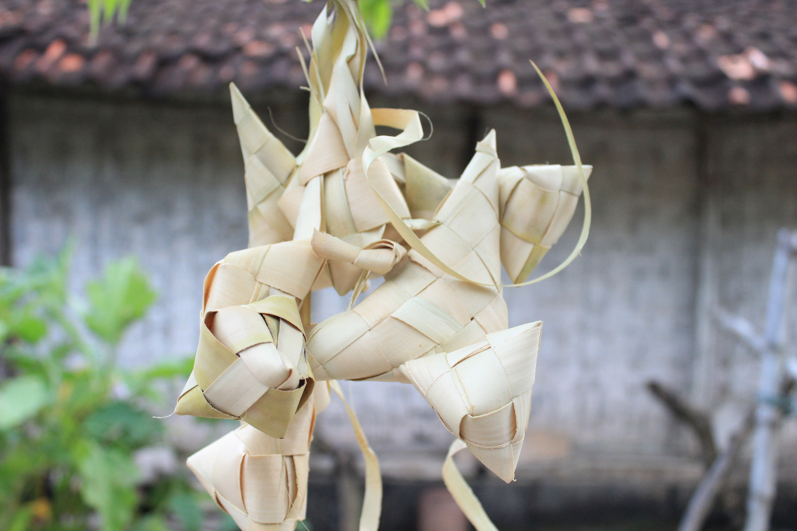 Bentuk Kupat Sapi