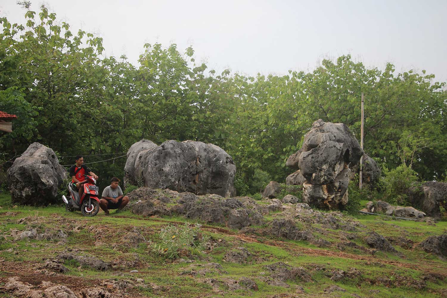 Gugusan Watu Gajah di Desa Bejagung, Kecamatan Semanding, Kabupaten Tuban, Jawa Timur.